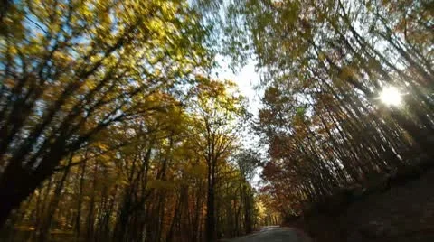 Driving on mountain road in autumn Stock Footage