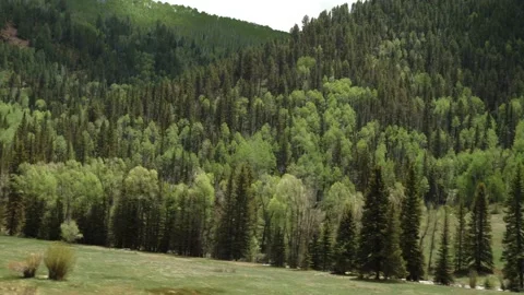 Driving Mountains Gimbal- 4k Video stock 132465778