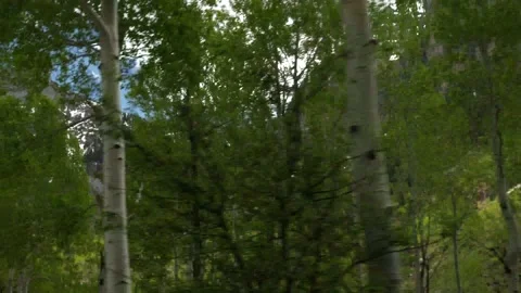 Driving Mountains Gimbal- 4k Stock Footage 132481301