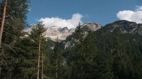 Driving In The Mountians Pine Trees Explore Discover Travel Road Trip Vídeos de archivo 347752111