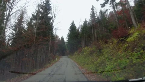 Driving on narrow mountain road surrounded with forest Stock Footage 167684362