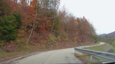 Driving on narrow mountain road surrounded with forest Stock Footage 167685983