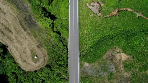 Driving in the nature Stock Footage 80517210