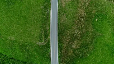 Driving in the nature Stock Footage 80517456