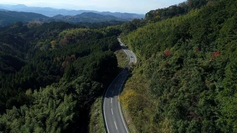 Driving in the nature Stock Footage 85449021