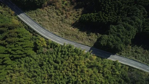 Driving in the nature Stock-Footage 85449929