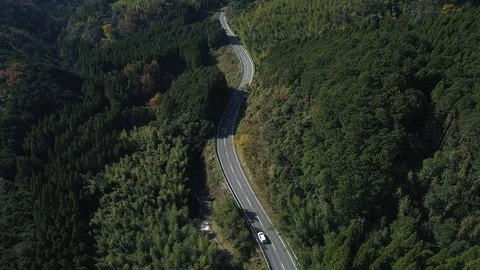 Driving in the nature Video stock 86270464