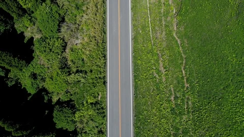 Driving in the nature Stock Footage 86270885