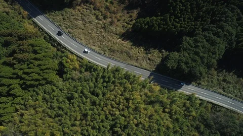 Driving in the nature Video stock 88953040