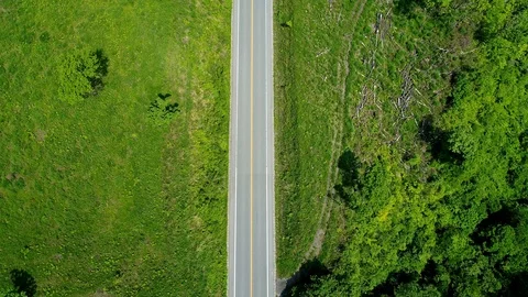 Driving in the nature Stock Footage 92053359
