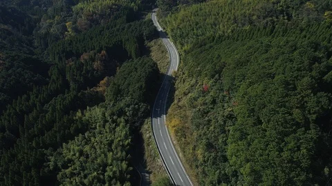 Driving in the nature Stock Footage 92304078