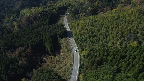 Driving in the nature Видео 92304116