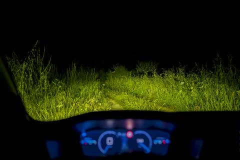Driving at Night Into Unknown Path. Car Headlights Lighting Rural Trail and.. Stock Photos