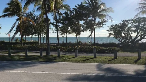 Driving by the Ocean in Miami Stock Footage 90466940