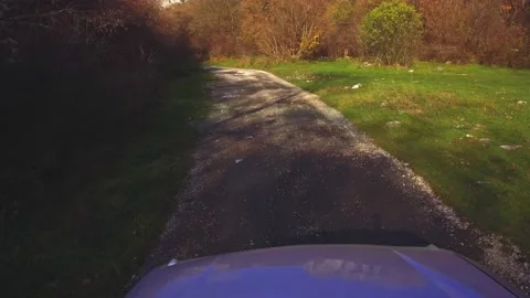 Driving offroad car through forest Stock Footage 224065094