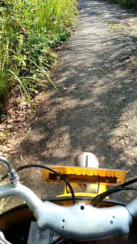 Driving Old Vespa Stock Footage 202210780