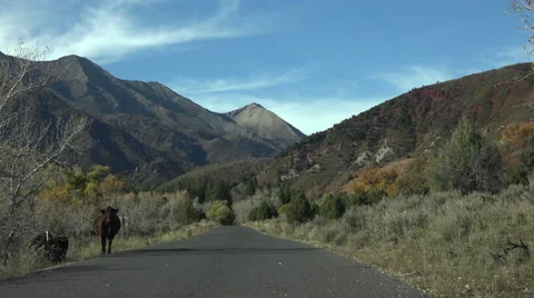 Driving open cattle range mountain road 4K 044 Stock Footage 45267215
