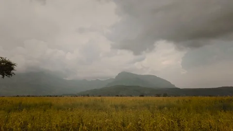  Driving by Open field Side view of the dry field passing from the car, Karamoja Видео 119148588