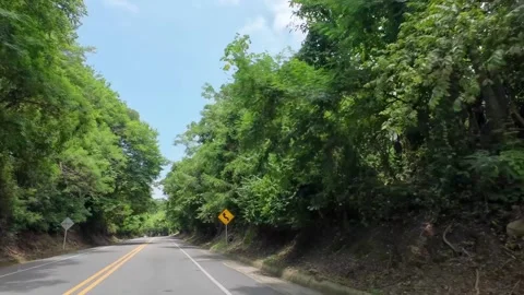 Driving Open Highway Flanked by Tropical Forest Stock Footage 342570440
