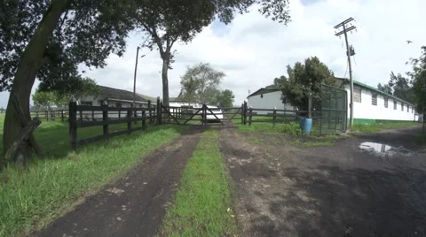 Driving over a dirt road Stock Footage 65385040