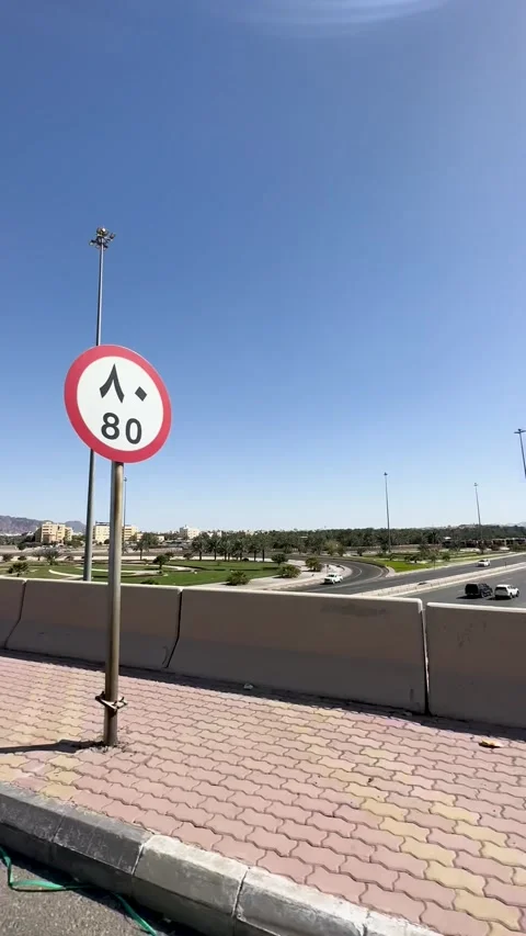 Driving Overpass View of Modern Cityscape and Mountains Vídeo Stock 333933226