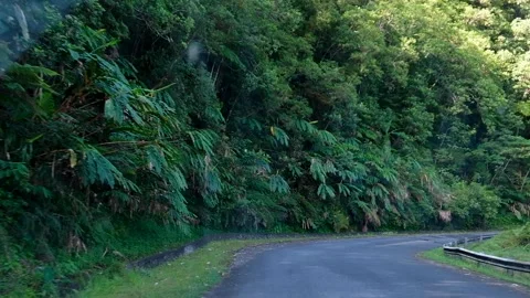 Driving into Panguna mining town in rainforest landscape on Bougainville, Papua Stock Footage 336687910