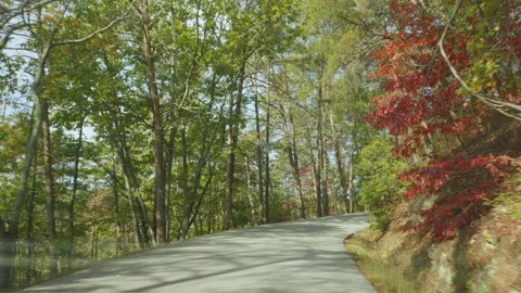 Driving  Paris Mountain State Park, South Carolina on Sunny Autumn Day. Vib.. Stock Footage 290960115