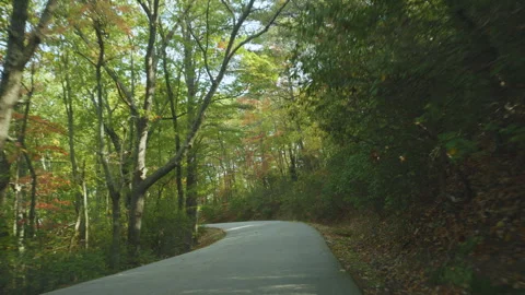 Driving  Paris Mountain State Park, South Carolina on Sunny Autumn Day. Vib.. Stock Footage 290971535