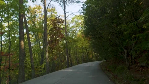 Driving Paris Mountain State Park, South Carolina on Sunny Autumn Day. Vibr.. Stock Footage 294913009