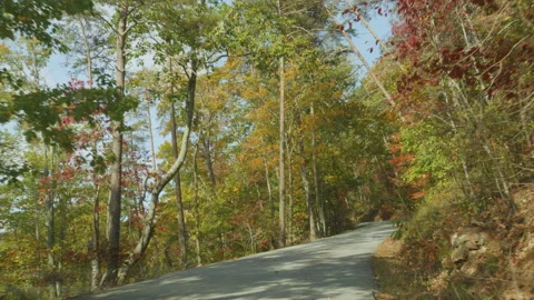 Driving  Paris Mountain State Park, South Carolina on Sunny Autumn Day. Vib.. Stock Footage 302940879