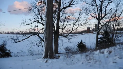 Driving pass leafless tree silhouetted against a snowy field Stock Footage 171908908