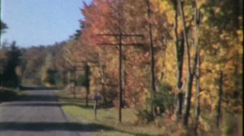 Driving Past AUTUMN Leaves FALL Colors 1960s Vintage Film Retro Home Movie 3934 Stock Footage