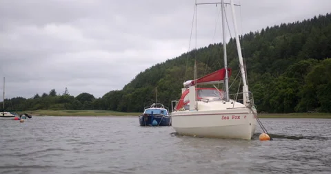 Driving past boats on a river Stock Footage 227135703