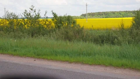 Driving past a bright yellow rapeseed field 스톡 동영상 322643128