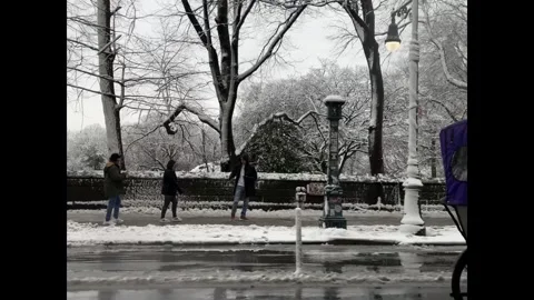 Driving past central park in winter Stock Footage 301604715