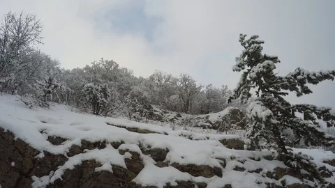 Driving past cliffs covered with snow Stock Footage 124609864