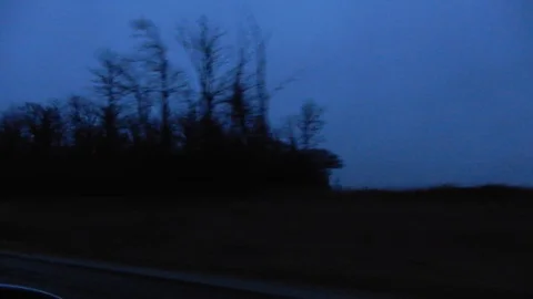 Driving Past Dark Forest With Dark Blue Sky At Night Stock-Footage 121590571