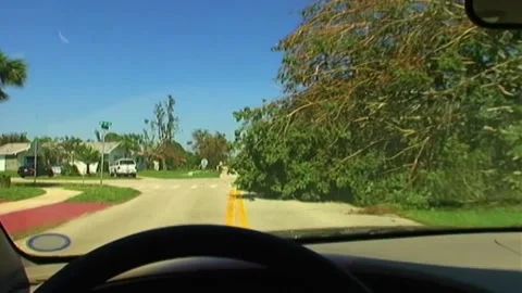 Driving Past Downed Tree after Hurricane Wilma Stock Footage 291000452