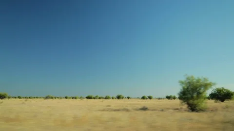 Driving past dry fields with bushes Stock Footage 100348771