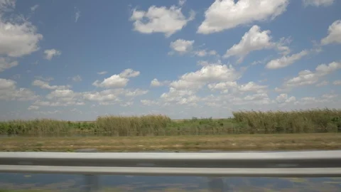 Driving Past Everglades Stock Footage 119230158