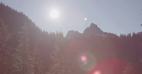 Driving Past Evergreen Trees 库存影片 84743343