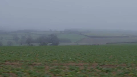 Driving Past Fields in Misty Rainy Countryside Stock-Footage 229114388