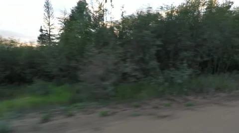 Driving past a forest fire site Stock Footage 55021228