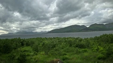 Driving past green birch forest and fjord mountain panorama in Andoya Norway 库存影片 343379950