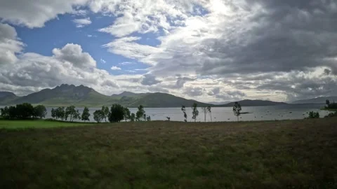 Driving past green coastal fields and sunny fjord panorama in Andoya Norway Vidéo 343380097