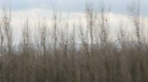 Driving past green fields and mountains Stock Footage 5765186