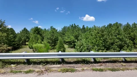 Driving Past Green Forest and Roadside Guardrail 動画素材 345102140