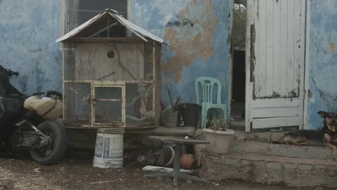 Driving past house Stock Footage 77629864