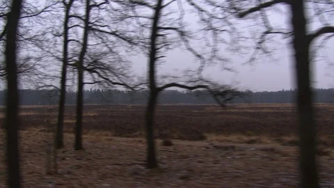 Driving past a meadow Stock Footage 85917820