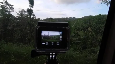 Driving past a rainforest while filming footage on Go Pro Stock Footage 145503473